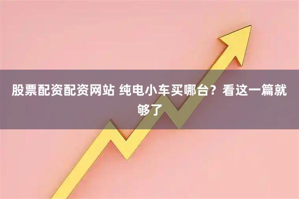 股票配资配资网站 纯电小车买哪台？看这一篇就够了